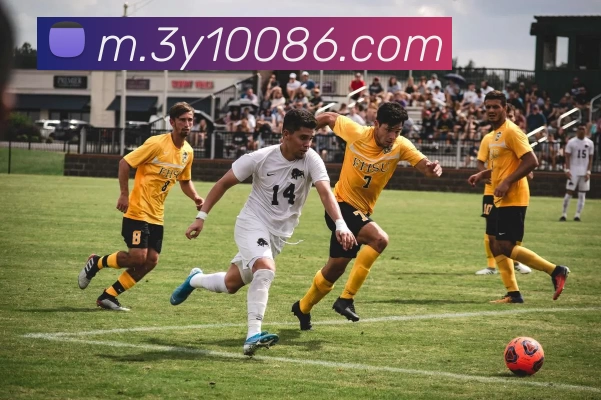 三亿体育发展历程